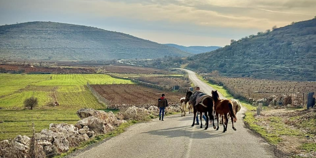 Midyat to Cizre