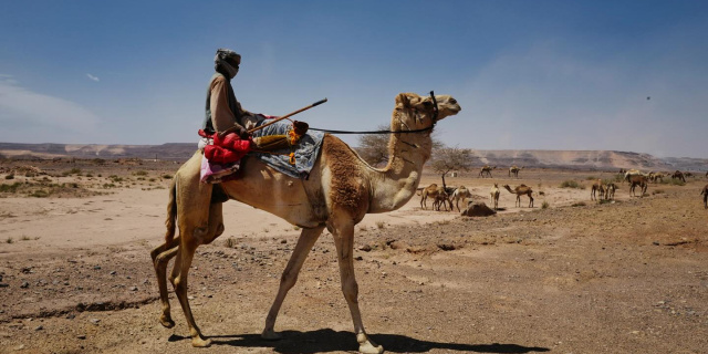 A man on a camel in the Arabian Desert
