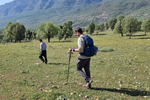 Fresh from the Field