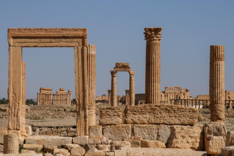 Saving Palmyra