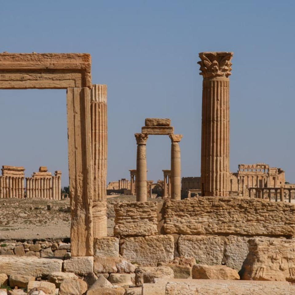 Saving Palmyra