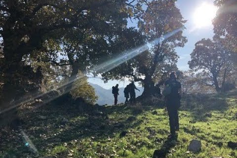 Why Walk the Middle East?